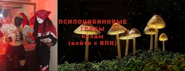 альфа пвп Гусь-Хрустальный
