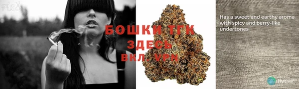 прущая мука Гусев