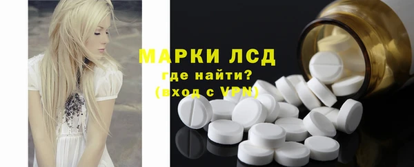 индика Дмитров
