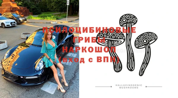 молекула духа Дмитриев