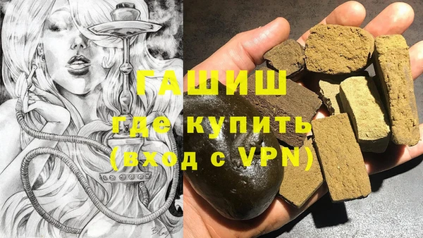индика Дмитров