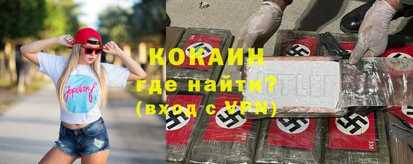 индика Дмитров