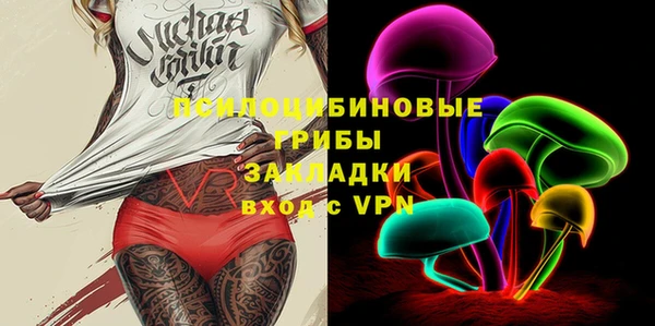 прущая мука Гусев
