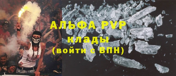 индика Дмитров