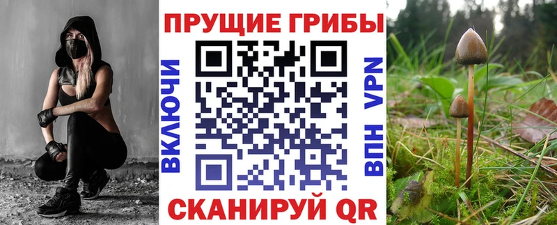 Галлюциногенные грибы прущие грибы купить Сретенск